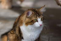 dsc_7636-125-46